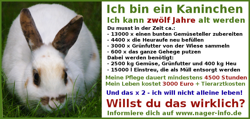 Ich bin ein Kaninchen